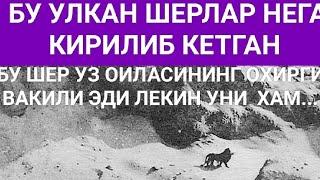 Энг Улкан ва Кирилиб Кетган ШерларХайвонлар Хакида #хайвонлар_хакида