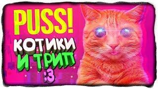 КОТИКИ И БЭД ТРИП  PUSS Прохождение #1