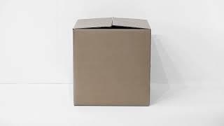 Zimoun  16 prepared dc-motors cardboard box 60x60x60 cm 2012