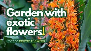  Top 10 Exotic Flowers  Easy Care Guide for Garden Paths 