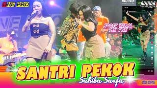 SYAHIBA SAUFA - SANTRI PEKOK FT ONEPRO  SUMBERSEWU  ADINDA SOUNDSYSTEM cover