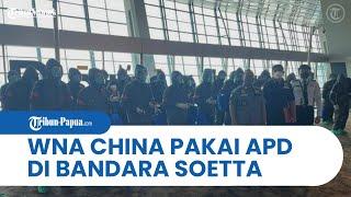 Viral Video Rombongan WNA China Pakai APD di Bandara Soekarno-Hatta Pihak Imigrasi Beri Penjelasan