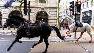 Runaway Army Horses Tear Through London