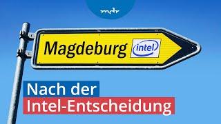 Intel-Baustopp Was sind die Folgen für die mitteldeutsche High-Tech-Branche?  Umschau  MDR