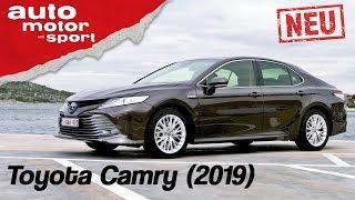 Toyota Camry Hybrid 2019  Gelungenes Comeback? - FahrberichtReview  auto motor & sport