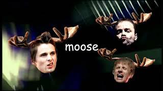 Muse - The Small Print  Live at Earls Court London 2004 Funny Lyrics HD