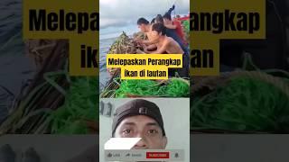 Nelayan Bertarung dgn kematian     #shorts #reaction #fun