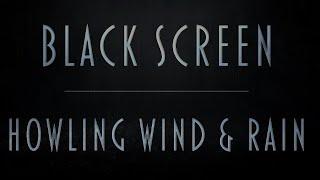 Howling Wind & Rain Sounds  Pure Black Screen For Uninterrupted Sleep  Fall asleep fast  8Hrs