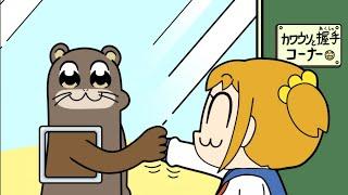 Popuko shaking hands with otter  Pop Team Epic S2 Episode 10