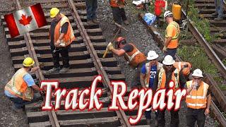  Emergency Railway Track Repair ️