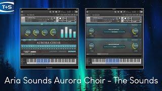 Aria Sounds Aurora Choir plugin for Kontakt - The Sounds