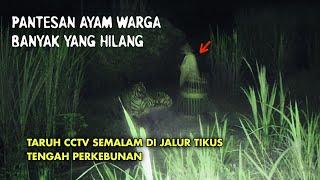 PASANG CCTV DI JALUR TIKUS PERKEBUNAN PANTAU SI HARJA MALAH REKAM ORANG ANEH  CCTV HOROR 35