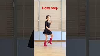 #LineDanceStep #PonyStep #포니스텝 #라인댄스기본스텝