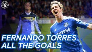 Fernando Torres - All the Goals  Best Goals Compilation  Chelsea FC