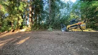 Brush Mastication and Mulching- Firescape Wildfire Mitigation Services