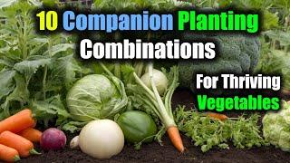 10 Perfect Companion Planting Combinations for Thriving Vegetables
