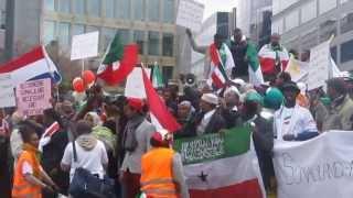 2013 Brussels Rally Pushing Somalilands Case for International Recognition