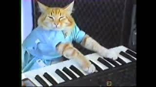 Keyboard Cat Smooth Slow Motion