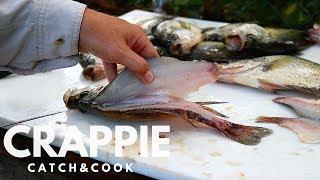 How to CATCH CLEAN and COOK CRAPPIE