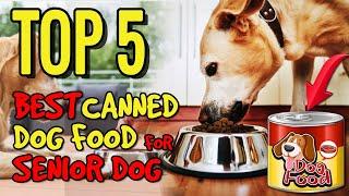 Best Canned Dog Food For Senior Dog