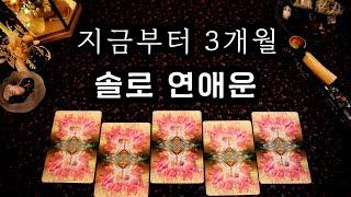 타로 앞으로 3개월 솔로 연애운