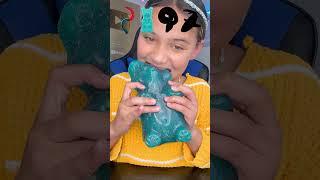 Sour Family GIANT Gummy Animal Challenge 