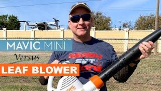 Mavic Mini vs Leaf Blower - Extreme Wind Test
