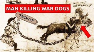 The HORRIFYING War Hounds of the Conquistadors How the Spanish used dogs to terrorize the New World