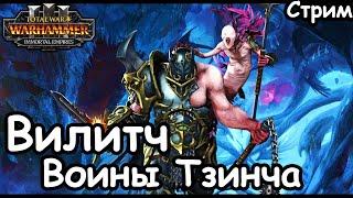 Вилитч. Воины Тзинча. Легенда. ч.1 Total War Warhammer 3.