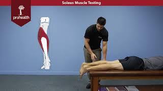 Soleus Muscle Test Dr Vizniak Muscle Manual