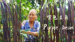 The traditional way of making beans｜豆角吃不完這樣做，方法簡單，綠色健康，曬乾保存能吃一年｜Chinese Food ｜广西 美食 玉林阿婆