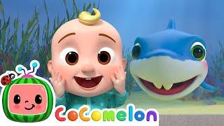 Baby Shark plays Hide and Seek CoComelon  Moonbug Kids - Learning Corner