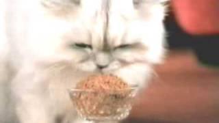 1996 Fancy Feast Commercial