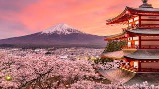 Beautiful Japanese Music – Cherry Blossoms 2 Hour Version
