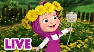  LIVE Maşa İle Koca Ayı  Bitkiler ve çiçekler hakkında her şeyi öğrenin  Masha and the Bear