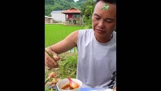 CẮT CƠN GÀ CON NHẢY  Cắt Cơn TV  ANH 1985 VLOG