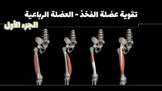 تقوية عضلات الفخذ الأمامية بطريقة علاجية . تقوية حتى لمرضى خشونة الركبة  - الجزء الأول