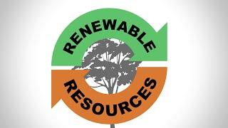 Forest Fast Break Renewable Resources