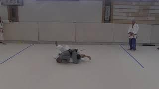 Judo Grappling and Groundwork with Justin Rose Lesson 1