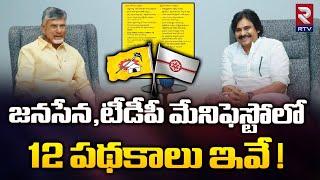 12 పథకాలతో జనసేనటీడీపీ మేనిఫెస్టో  TDP Janasena Combined Manifesto  2024 AP Elections  RTV