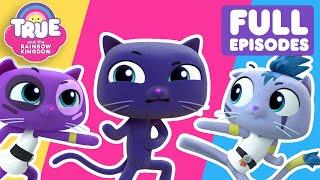 Best of the Ninja Cats  Full Episode and Song for Kids  True and the Rainbow Kingdom 