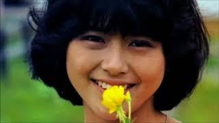 小泉今日子　黄色いチューリップ 　1982