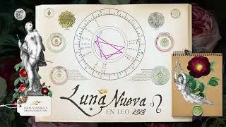 LUNA NUEVA LEO 4 AGOSTO Se tu mejor version Trabaja en un nuevo tu ️