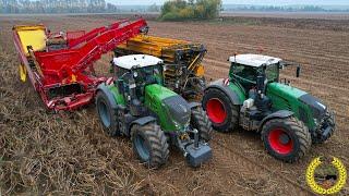 Grimme EVO 290 Airsep  Brettmeister Kartoffel Überladewagen  Kartoffelernt  Fendt Vario 828 939