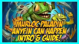 Hearthstone Murloc Paladin  Anyfin Can Happen OTK Deck Guide & Introduction