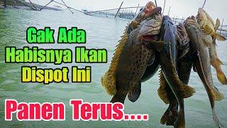 Bener-bener Keren Tiap Kali Mancing di Spot Ini Pasti Panen