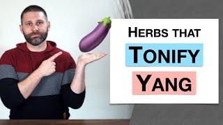  Herbology 3 Review - Herbs that Tonify Yang Extended Live Lecture