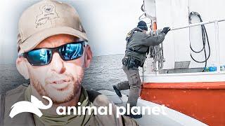 Sujetos fuera de la ley se esconden dentro de un barco  Guardianes de Luisiana  Animal Planet