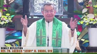 𝗪𝗵𝗮𝘁 𝗮𝗿𝗲 𝘆𝗼𝘂 𝗟𝗜𝗩𝗜𝗡𝗚 𝗙𝗢𝗥?  Homily 14July 2024  with Fr. Jerry Orbos SVD  15th Sunday Ordinary Time