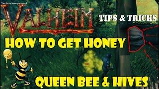 Valheim How to find the Queen Bee to craft Bee Hive and get Honey Beginners Guide Tricks and Tips